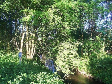 Bild 2 von Haustenbach